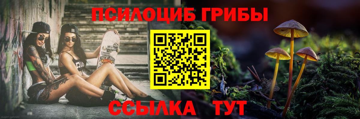 Галлюциногенные грибы Cubensis  Вход с VPN  Ишим 